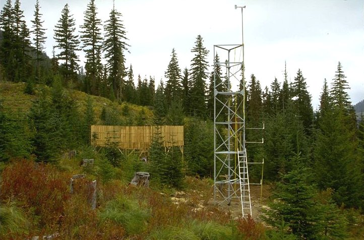 Upper Lookout Climate Station, Andrews Experimental Forest (Al Levno 10/94)