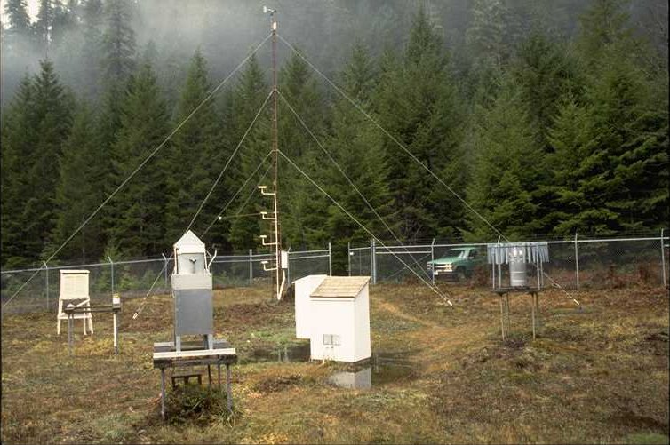 Primary Met Station at Andrews Experimental Forest, Al Levno 12/98