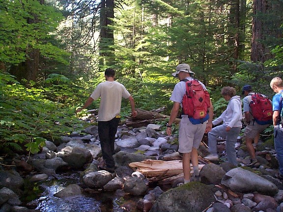 Graduate students conducting a stream survey at the HJ Andrews forest
