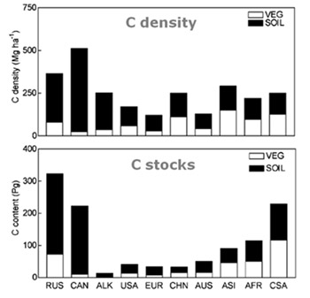 Carbon in soil and vegetation