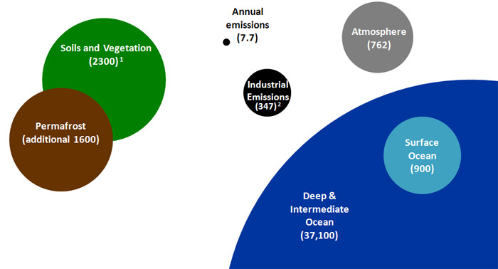 Global Carbon Stocks