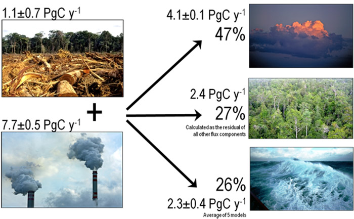 Fate of Anthropogenic CO2 (2000-2009)