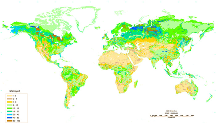 Soil organic carbon to 1 meter depth