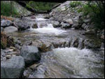20 Mile Creek Link