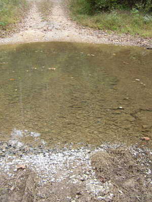 Vented ford crossing #9