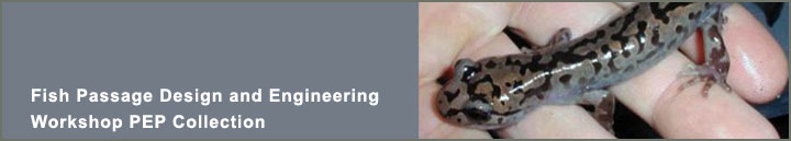 Fish Passage Design and Engineering Workshop Collection