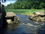 Dam Removal Presentation Link