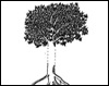 Mangroves Sediment and Water: Impacts of Urban Development and Global Change
