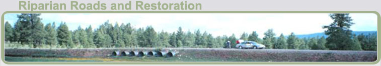 Riparian Roads and Restoration
