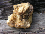 DSCN9968