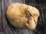 DSCN9969