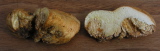 DSCN9985