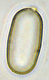 Balsamia spore