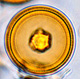 Elaphomyces spore