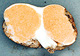 Gymnogaster sporocarp