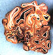 Hydnotrya sporocarp