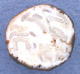 Reddellomyces sporocarp