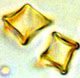 Richoniella spore