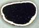 Scleroderma sporocarp