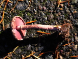 DSCN3157