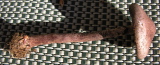DSCN3168