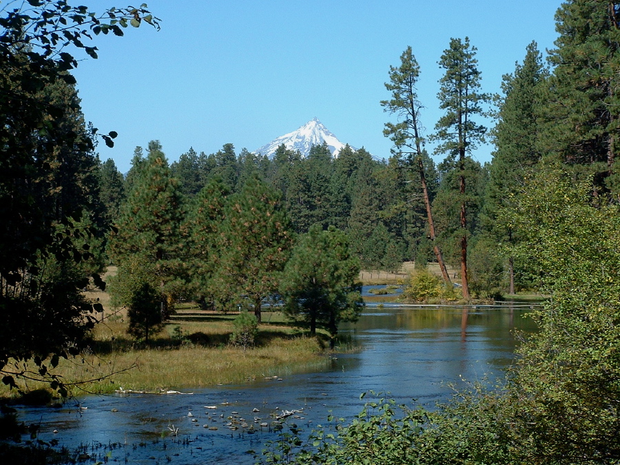 Metolius Headwaters