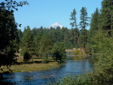 Metolius Headwaters