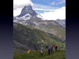 NPSO Swiss1