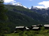 NPSO Swiss1