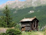 NPSO Swiss1