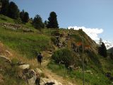 NPSO Swiss1