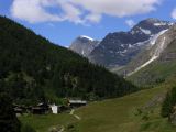 NPSO Swiss1