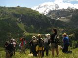 NPSO Swiss1