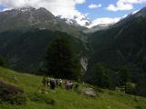 NPSO Swiss1