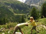 NPSO Swiss1