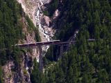 NPSO Swiss1