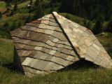 NPSO Swiss1
