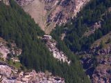 NPSO Swiss1