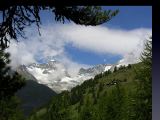 NPSO Swiss1