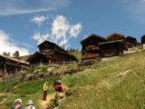NPSO Swiss1