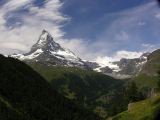 NPSO Swiss1