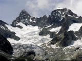 NPSO Swiss1