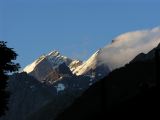 NPSO Swiss1