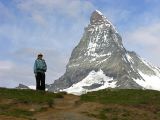 NPSO Swiss1