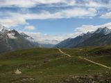 NPSO Swiss1