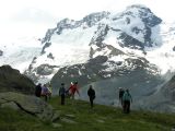 NPSO Swiss1
