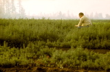 nursery