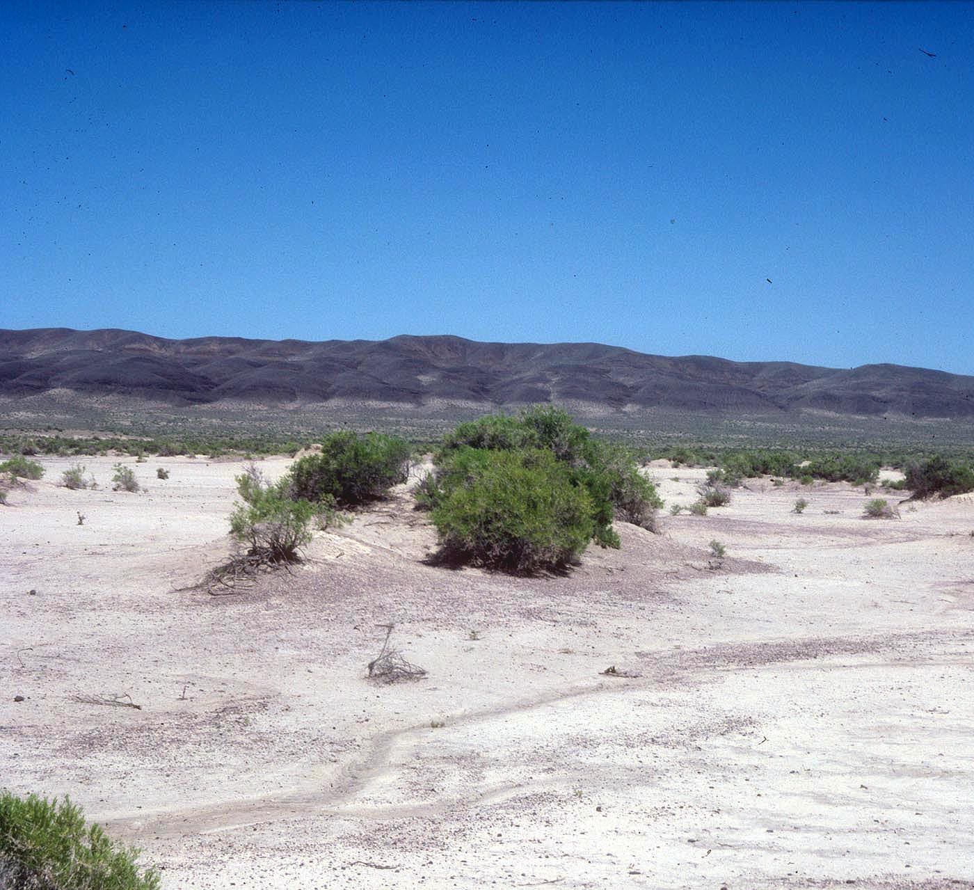 Pacific Northwest Interagency Natural Areas Network, image size:1400x1279